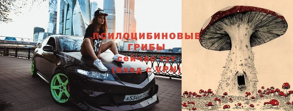 героин Алексин